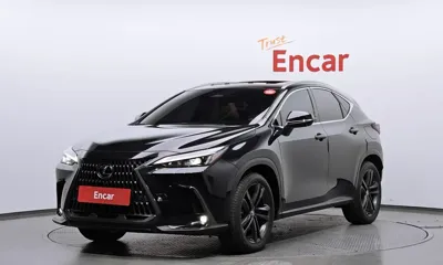 Lexus NX · 2023 год