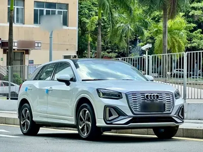 Audi Q2L e-tron