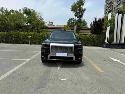 Zeekr 极氪9X