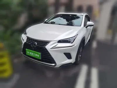 Lexus NX 2018, 100600 км, за 19094.15 USD