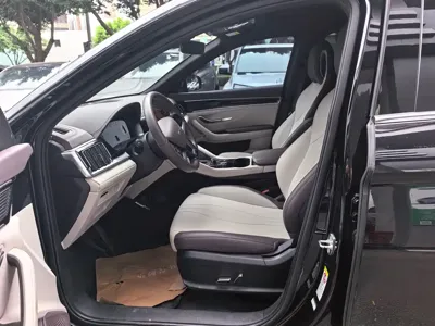 BYD PLUS New Energy 2024, 30000 км, за 13231.36 USD