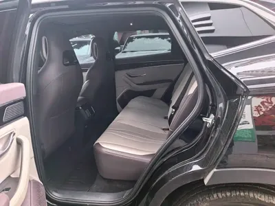 BYD PLUS New Energy 2024, 30000 км, за 13231.36 USD
