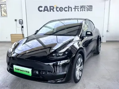 Tesla Model Y · 2021 год