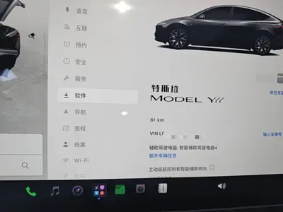Tesla Model Y L
