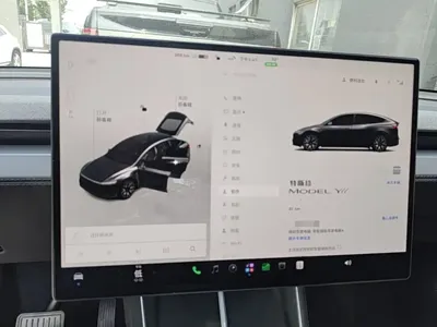Tesla Model Y L