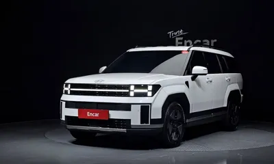 Hyundai Santafe · 2024 год