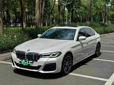 BMW 5 Series New Energy · 2021 год