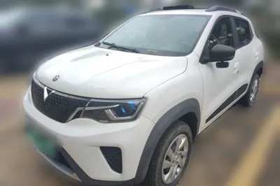 Venucia e30 · 2020 год