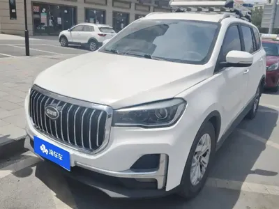SWM SWM G05 · 2020 год