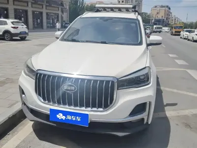 SWM SWM G05 2020, 105300 км, за 2799.51 USD