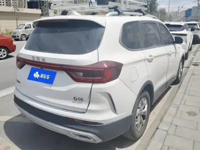 SWM SWM G05 2020, 105300 км, за 2799.51 USD