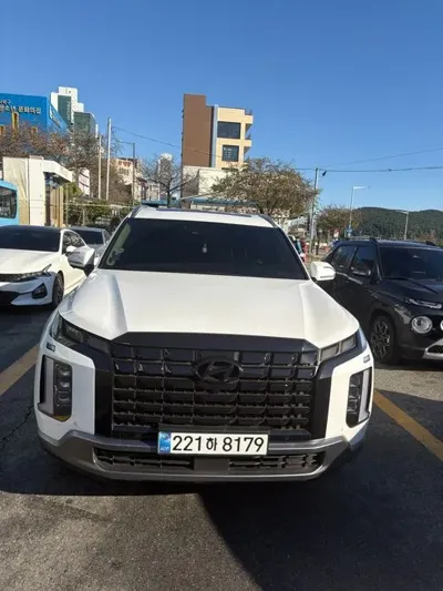 Hyundai Palisade · 2024 год