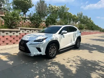 Lexus NX · 2021 год