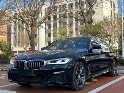 BMW 5 Series · 2022 год