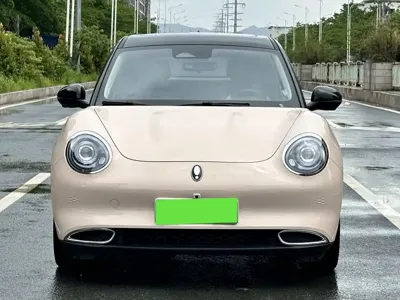 ORA Ora Good Cat 2023, 26000 км, за 10241.51 USD