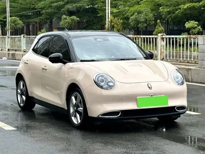 ORA Ora Good Cat 2023, 26000 км, за 10241.51 USD