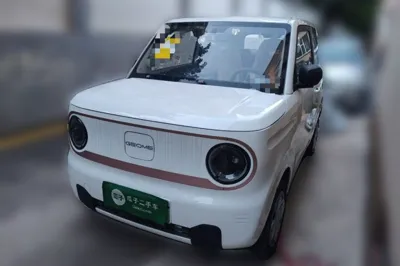 Geely Galaxy Panda · 2024 год