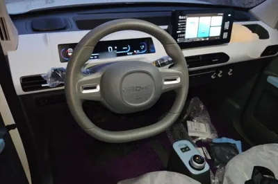 Geely Galaxy Panda 2024, 100 км, за 6689 USD - фото 7