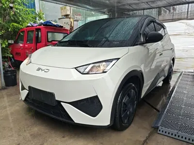 BYD Seagull · 2025 год