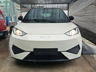 BYD Seagull 2025, 8200 км, за 7563.13 USD