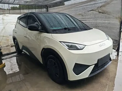 BYD Seagull 2025, 8200 км, за 7563.13 USD