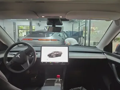 Tesla Model Y 2024, 91000 км, за 24278.52 USD