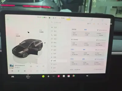 Tesla Model Y 2024, 91000 км, за 24278.52 USD