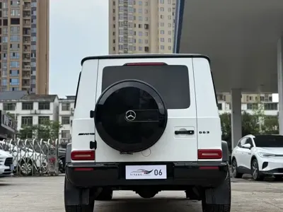 Mercedes-Benz G-Class 2024, 52000 км, за 243115.18 USD