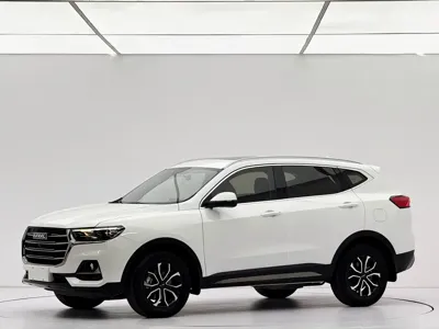 Haval H6 · 2022 год