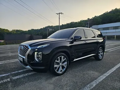 Hyundai Palisade · 2019 год