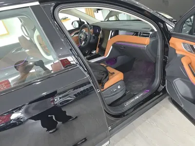 Hongqi Hongqi HS7 PHEV 2025, 2800 км, за 24092.5 USD - фото 11