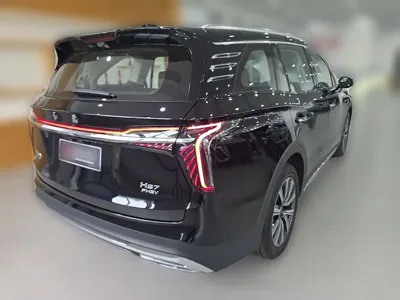 Hongqi Hongqi HS7 PHEV 2025, 2800 км, за 24092.5 USD - фото 12