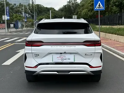 BYD PLUS New Energy 2024, 55000 км, за 12236.28 USD