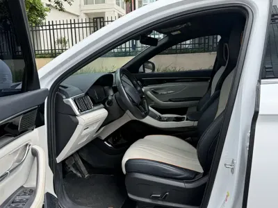 BYD PLUS New Energy 2024, 55000 км, за 12236.28 USD - фото 7