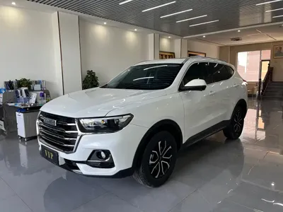 Haval H6 · 2023 год