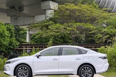 BYD Destroyer 05 2024, 1600 км, за 10931 USD - фото 30