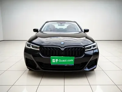 BMW 5 Series (Import) 2021, 131900 км, за 23990.7 USD - фото 24