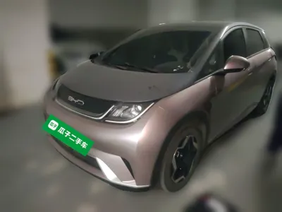 BYD Dolphin · 2021 год