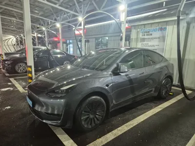Tesla Model Y 2024, 62000 км, за 24052.52 USD
