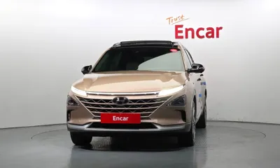 Hyundai Nexo 2023, 118575 км, за 10418.7 USD