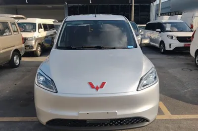 Wuling Hongguang New Energy 2024, 8600 км, за 10756 USD