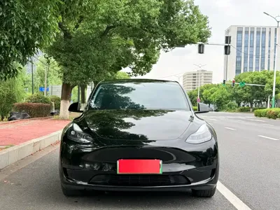 Tesla Model Y 2024, 79000 км, за 24396.08 USD