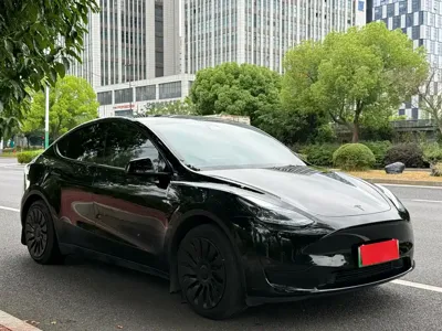 Tesla Model Y 2024, 79000 км, за 24396.08 USD