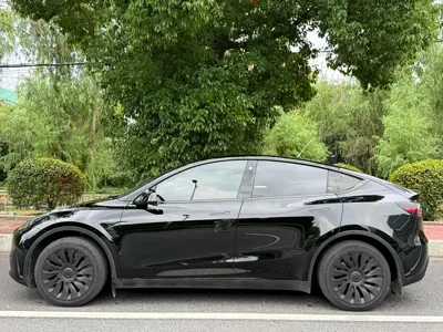 Tesla Model Y 2024, 79000 км, за 24396.08 USD