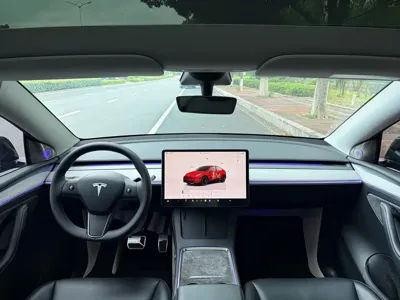 Tesla Model Y 2024, 79000 км, за 24396.08 USD - фото 8