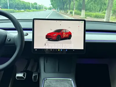 Tesla Model Y 2024, 79000 км, за 24396.08 USD - фото 9