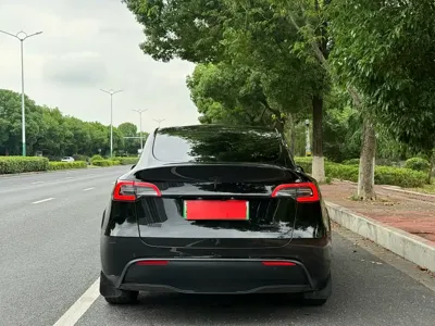 Tesla Model Y 2024, 79000 км, за 24396.08 USD - фото 15