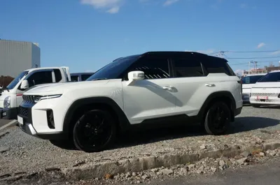 KG_Mobility_Ssangyong Torres 2023, 24894 км, за 16969.22 USD
