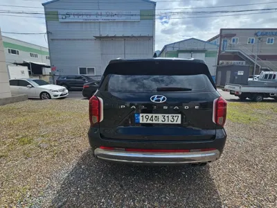 Hyundai Palisade 2023, 132000 км, за 21122.84 USD