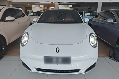 ORA Lightning Cat 2022, 24900 км, за 18189 USD